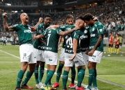 华体会下载-帕尔梅拉斯小将表现抢眼，劲旅添新力量的简单介绍