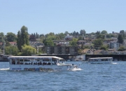 华体会电竞-西雅图海湾者多线作战阵容调整，保证体能充沛