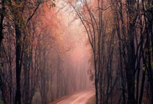 华体会网站-争分夺秒，女足比赛掀起狂潮，谁能笑到最后？