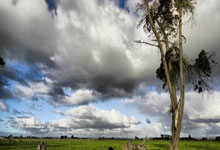 华体会培训-赫塔菲客场战平贝蒂斯，坚定不移的“不败精神”