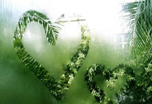 华体会地址-南安普顿客场逼平狼队，稳守中游堡垒，开启新赛季新气象！