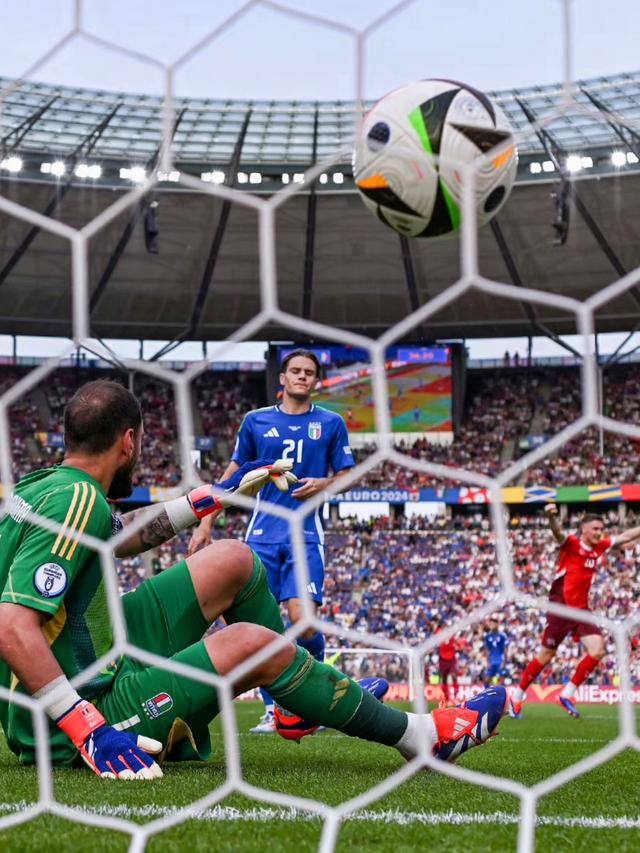 包含瑞士队失利淘汰，球迷失望且期待未来的词条