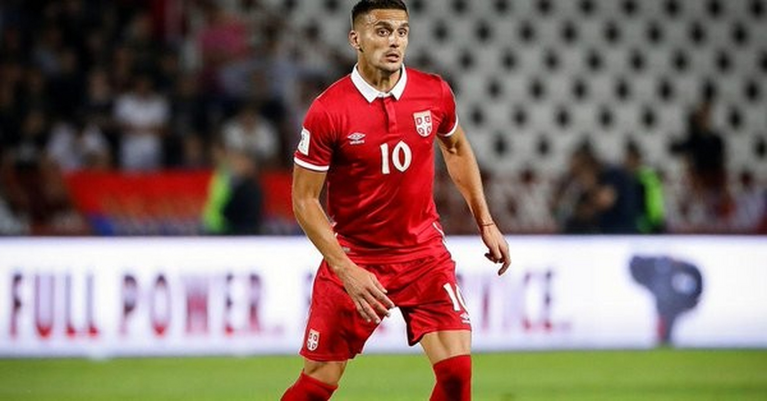 塞尔维亚代表队取得耀眼成绩