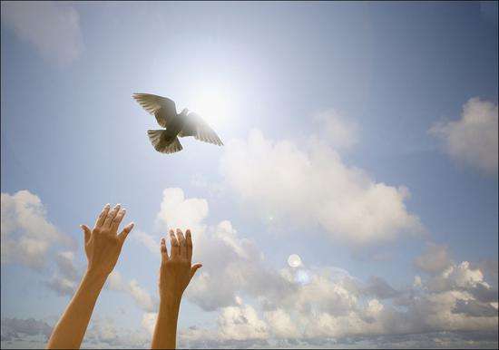 巴伦西亚遭遇失败，寻找改善之道